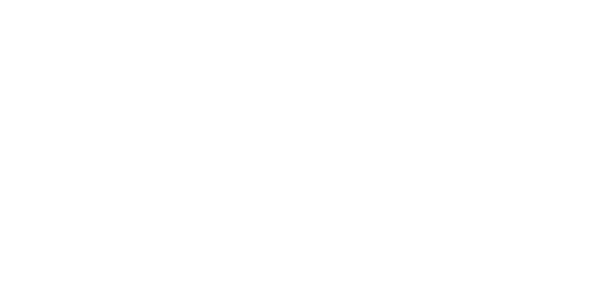- A - P - -logo-white small.png