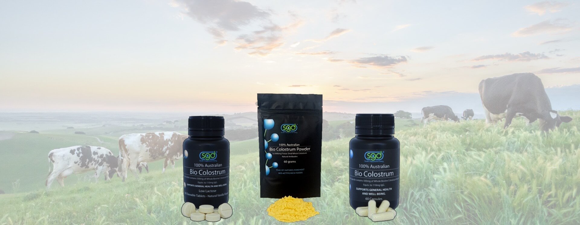 Revive Your Health With Premium Australian Bovine Bio-Colostrum