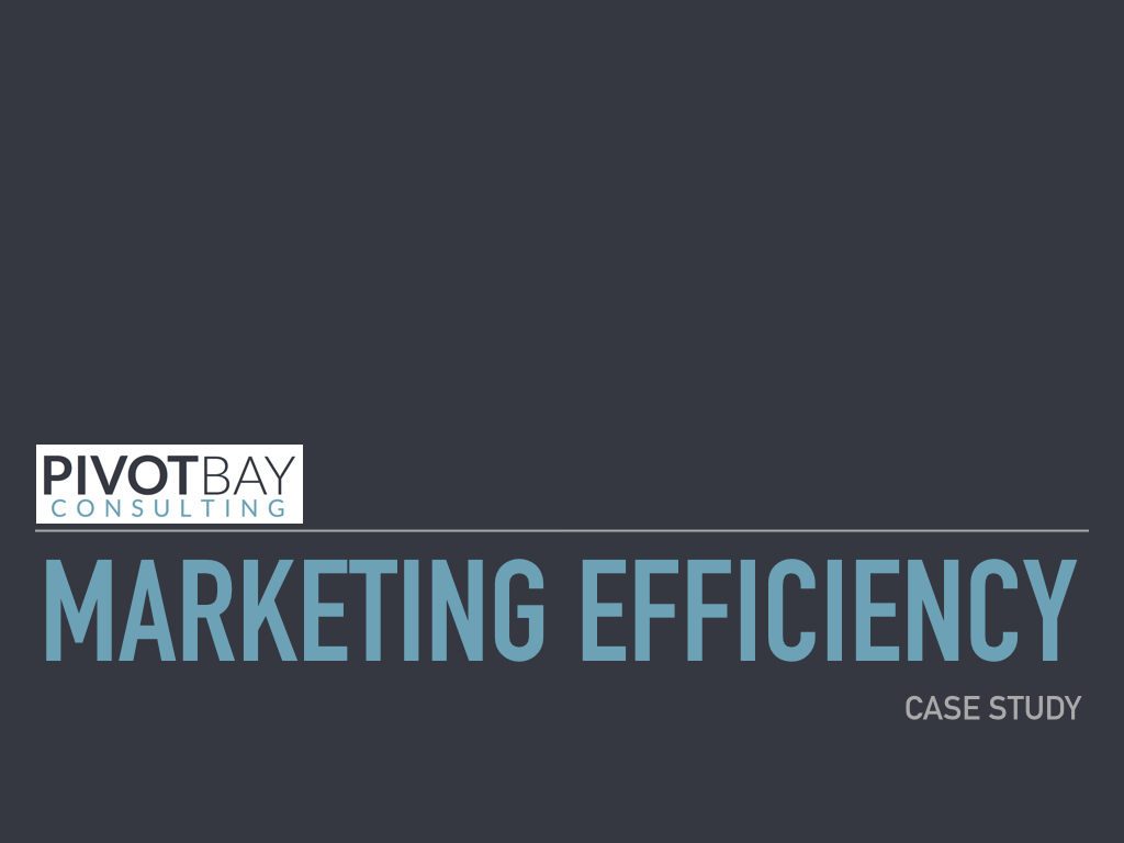 Marketing Efficiency 2.0.001.jpeg