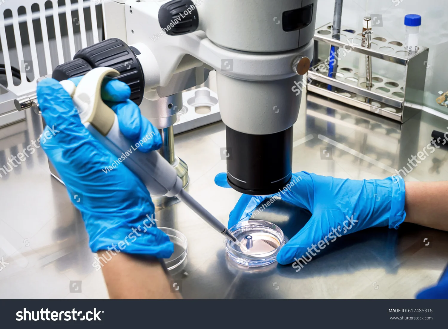stock-photo-researcher-using-a-microscope-in-a-laboratory-617485316.jpg