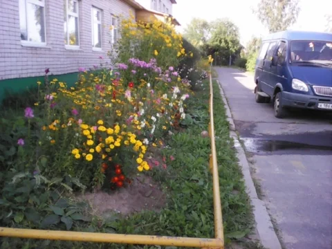 IMG_20170830_152811.jpg