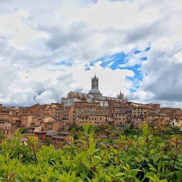 Hello beautiful city, exploring the tiny streets #conference #incentive #siena #italy🇮🇹