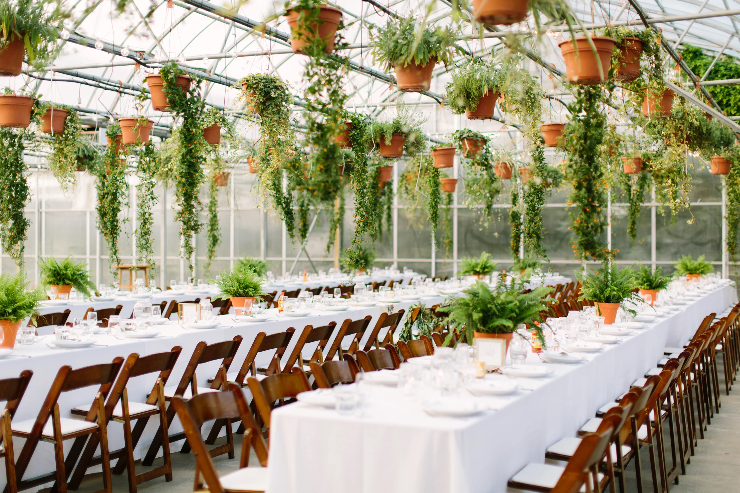 Saskatoon_Farm_Greenhouse_Wedding0045.jpg