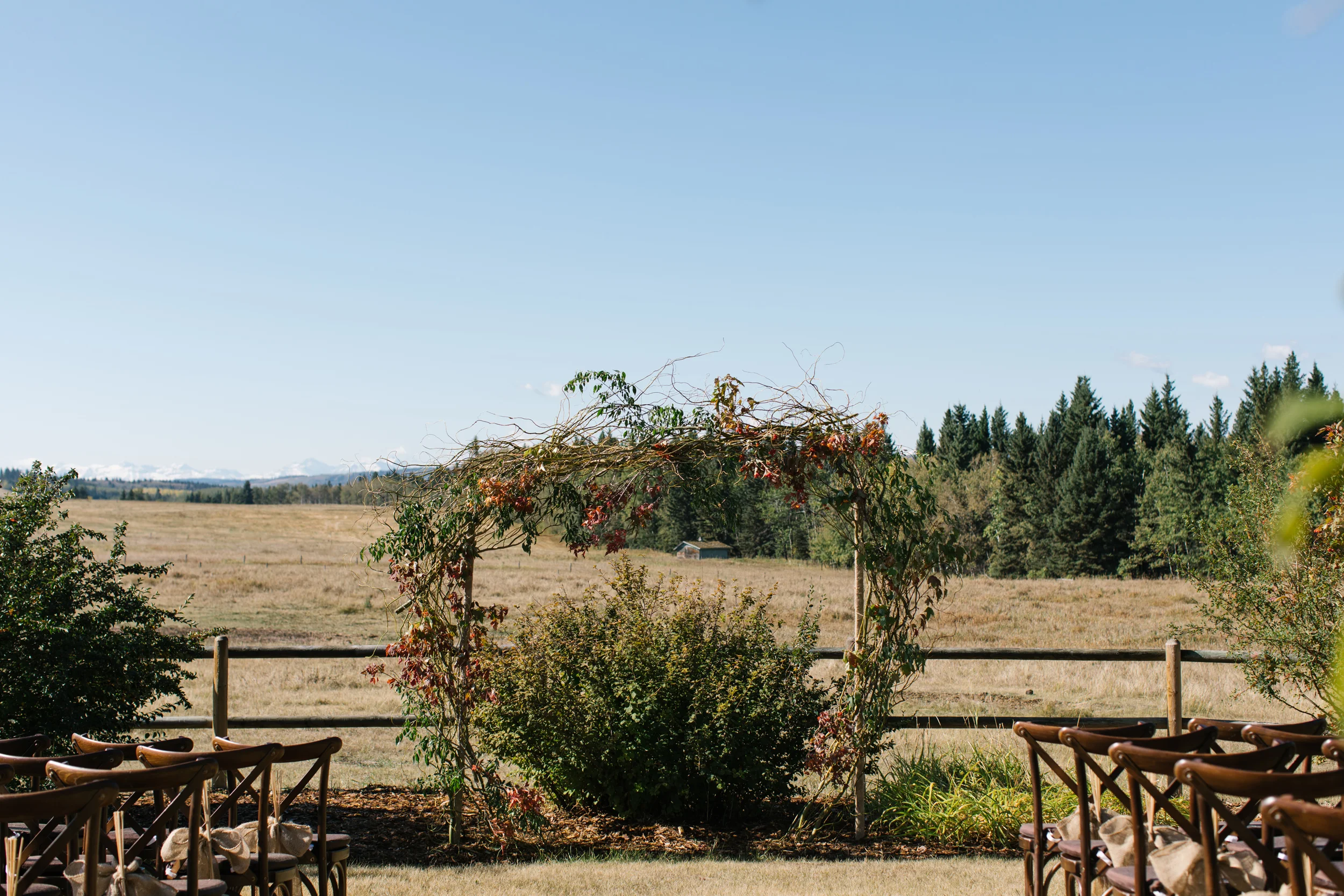 Calgary_Intimate_Backyard_Wedding0001.jpg