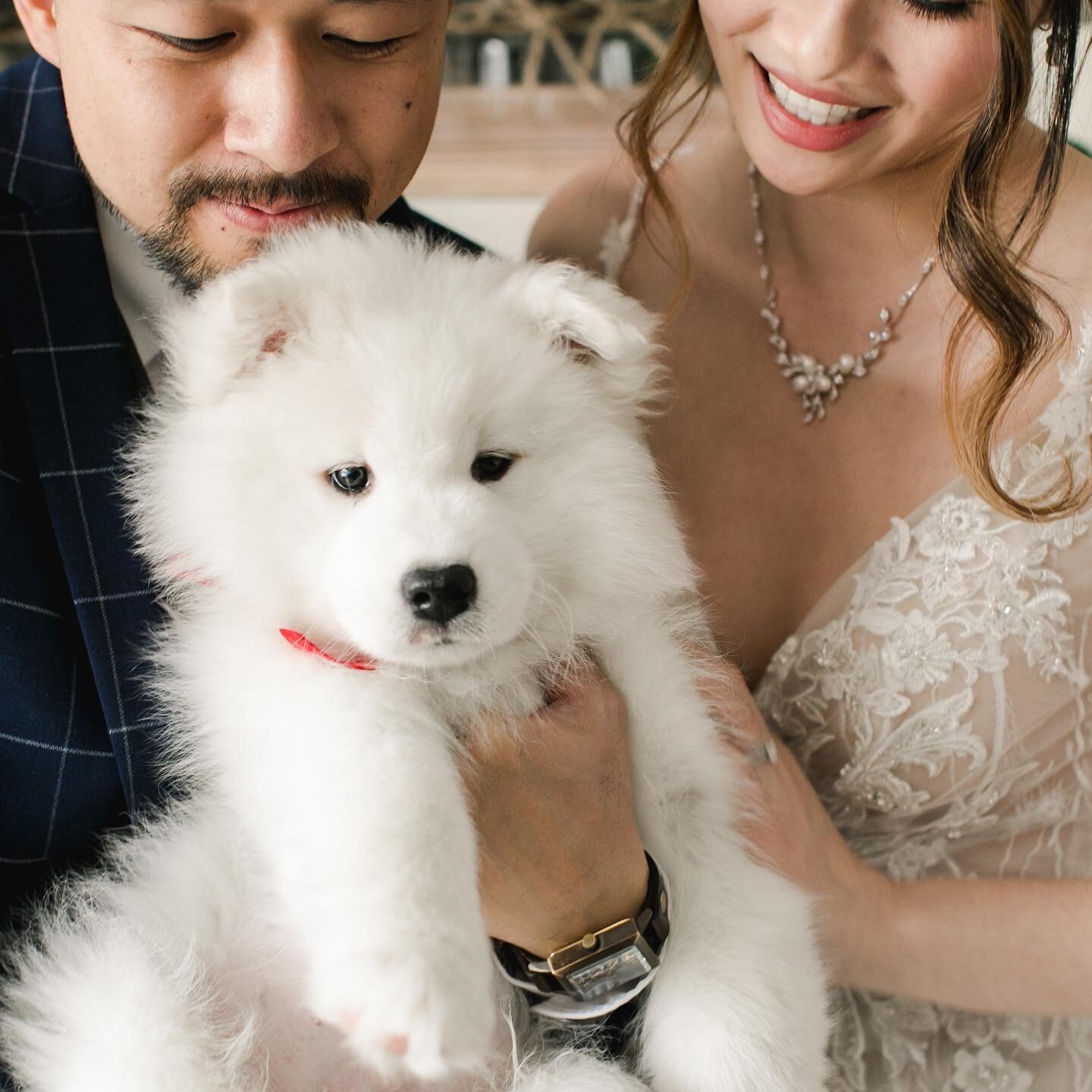 They may have had to change their plans more than a couple times, but one of the perks of the intimate, at-home wedding they decided on was their ADORABLE puppy got to be a part of their day. 🐶😍