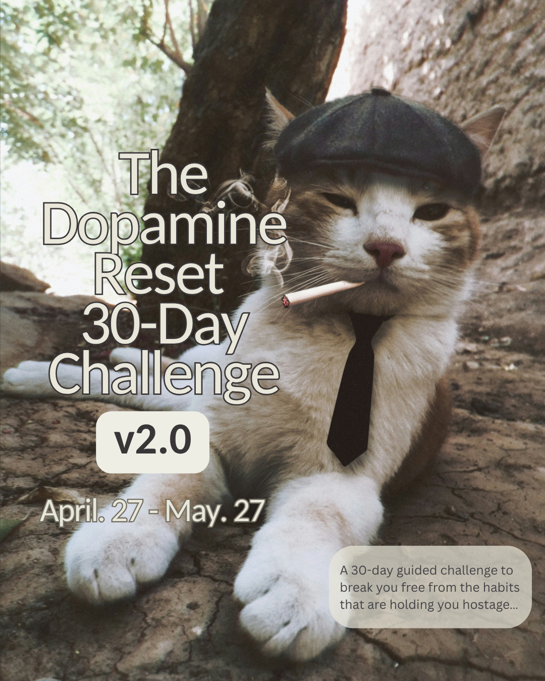 The Dopamine Reset v2.0.png