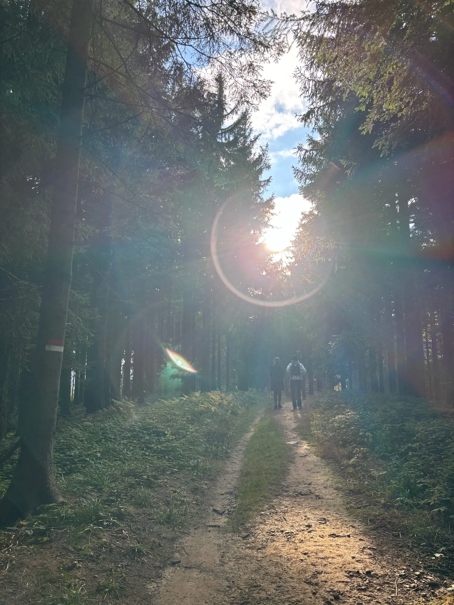 Dopamine Reset Retreat