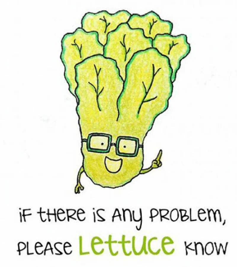 if-there-is-any-problem-please-lettuce-know.jpg