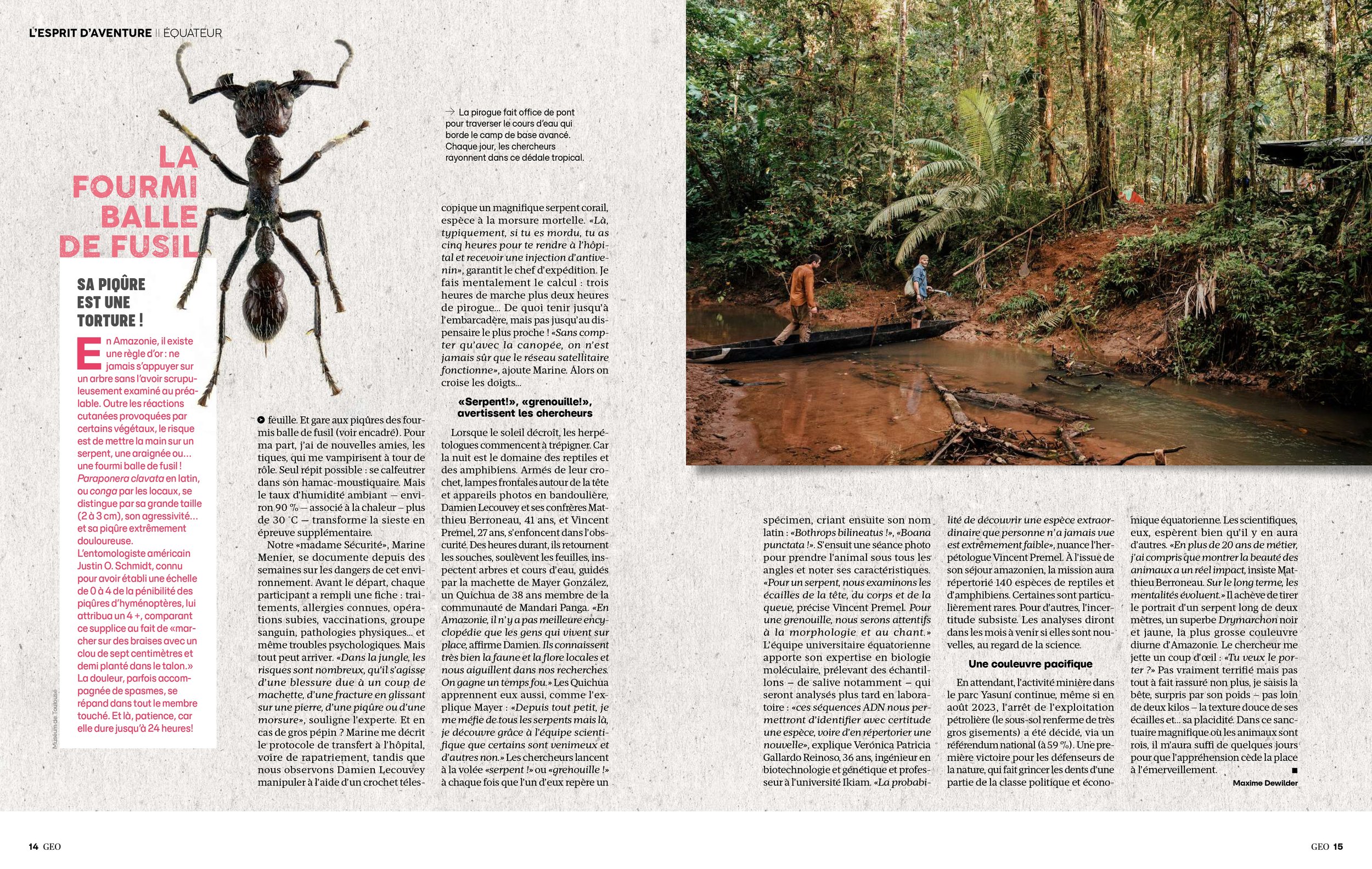 GEO_0545_L'ESPRIT D'AVENTURE - FORET EQUATEUR-BAT_compressed (1)_page-0007.jpg