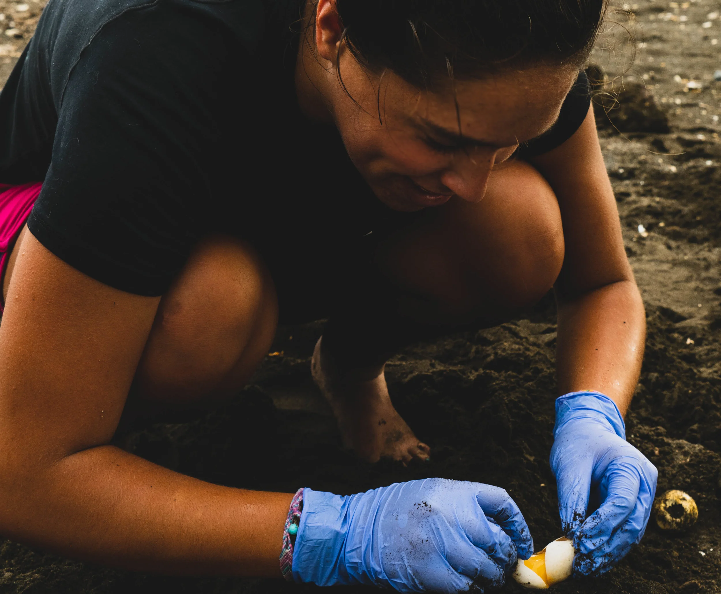 A science student named Katie opens a spent turtle egg to determine the fetal development stage in Ostional, Costa Rica. 2018.
