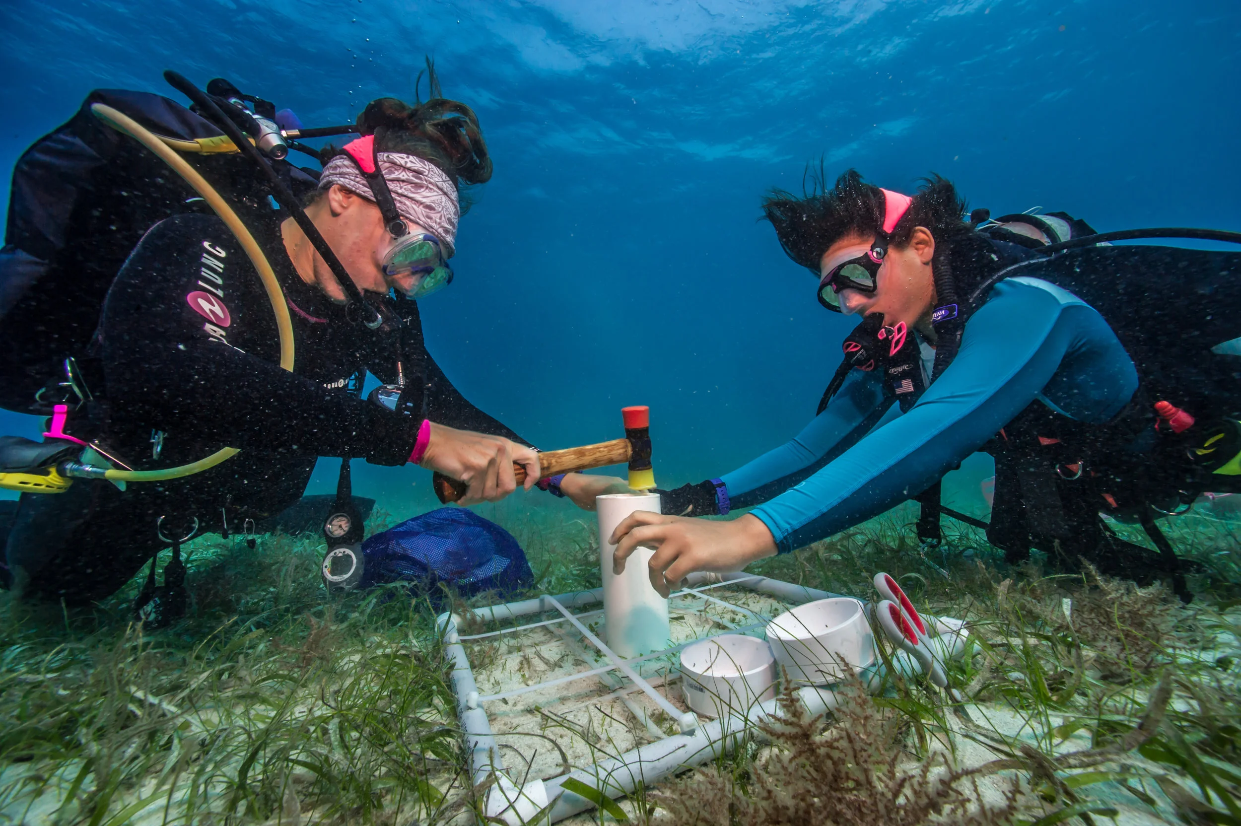 Graduate students take a core sample around Buck Island in St. Croix, US Virgin Islands. 2017.