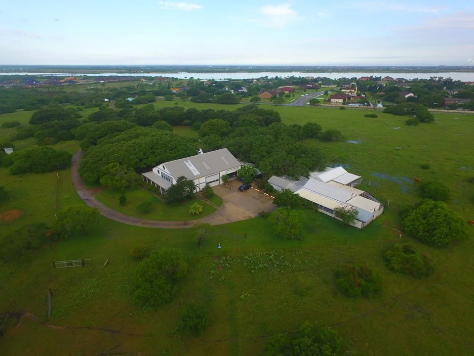 Bluff Boarding Kennels And Cattery