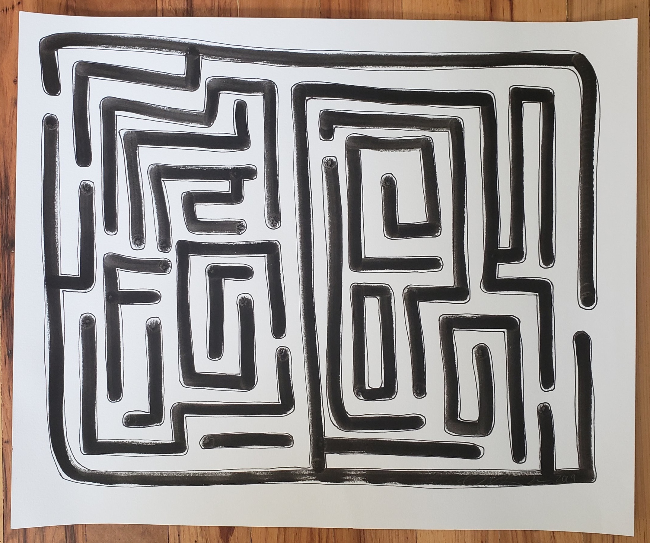 Maze Study