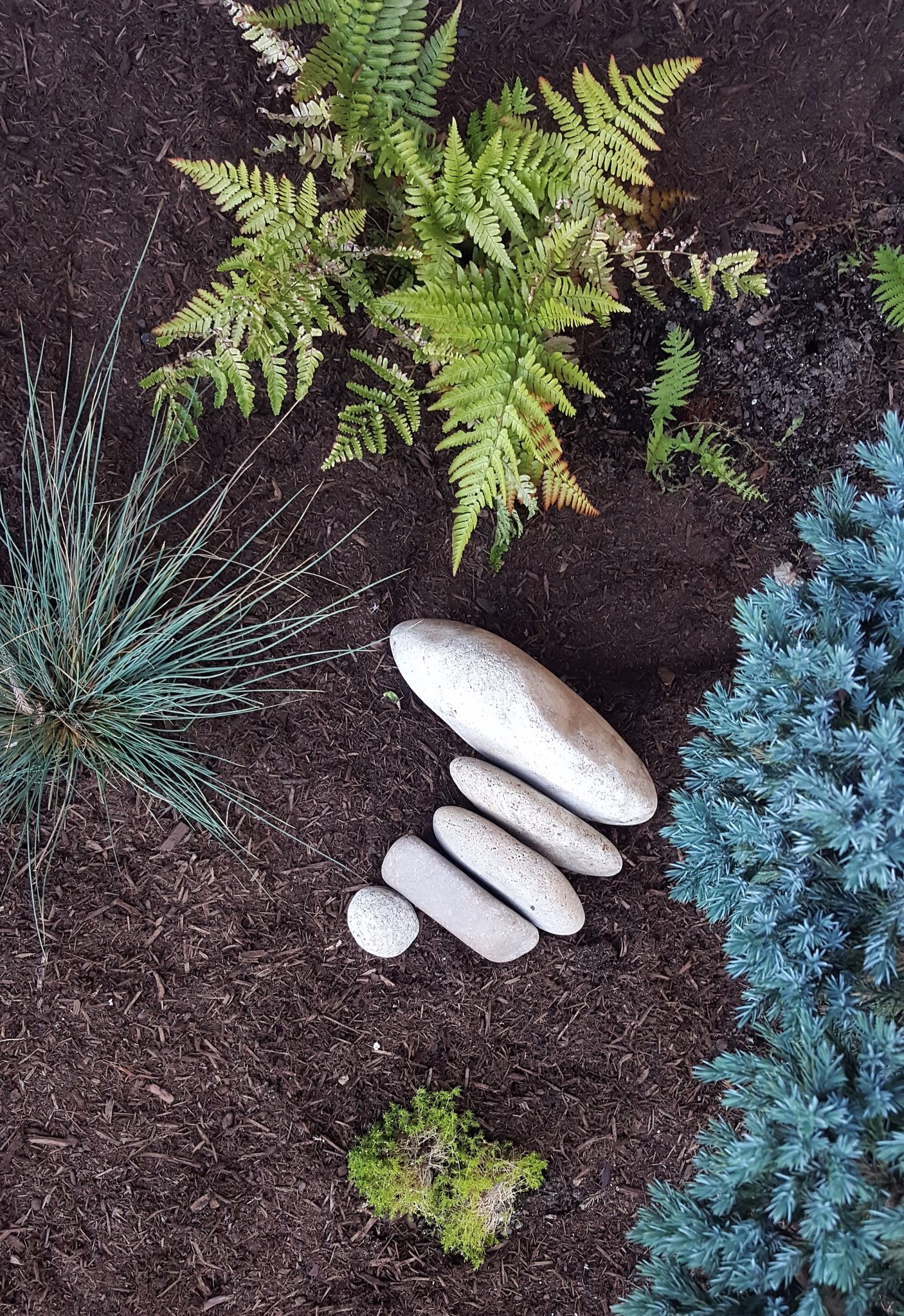Bee Wise Gardens.jpg