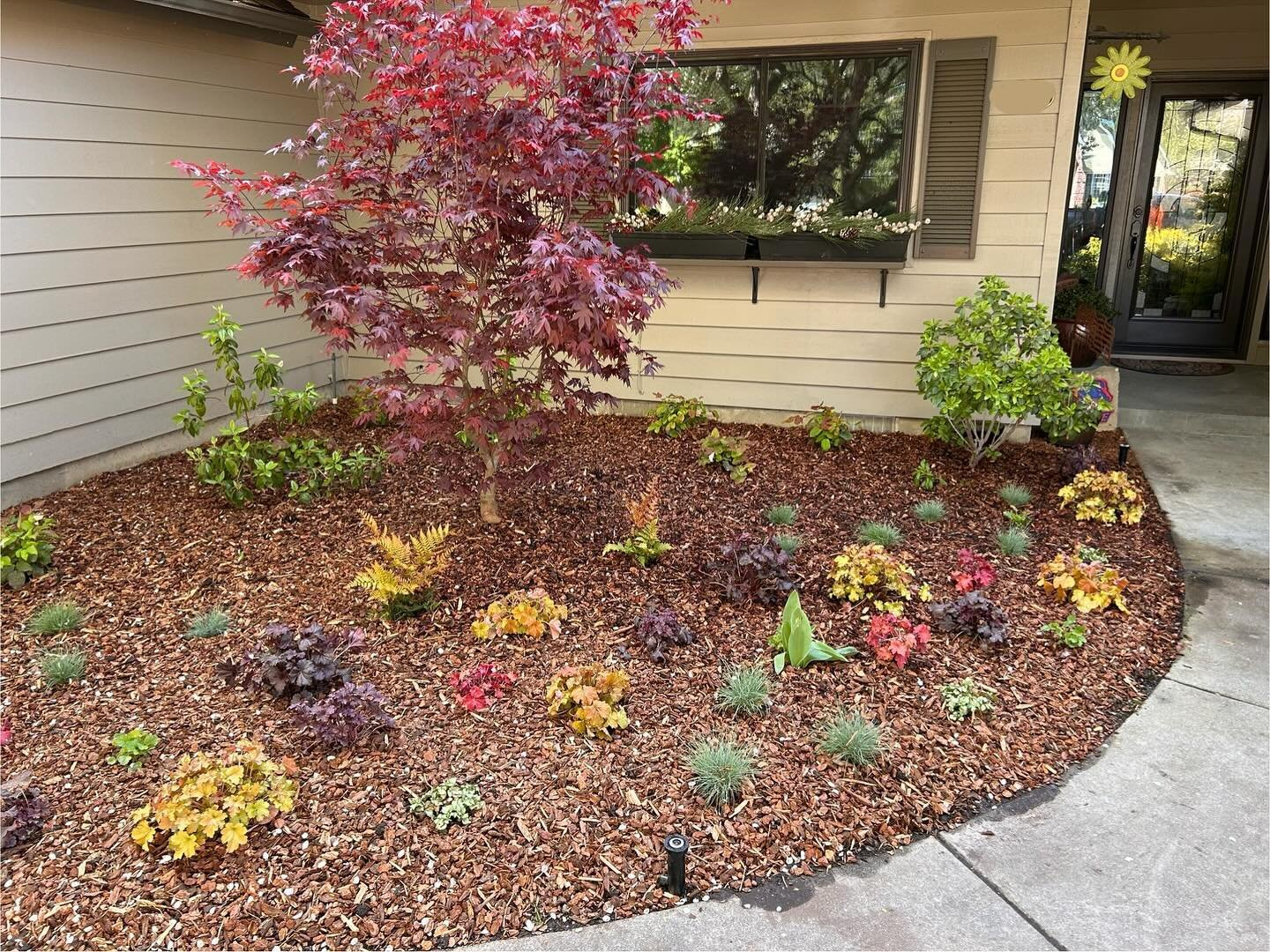 Just planted!! Some things still need to mature but please enjoy this before &amp; after that we got to design and install 🌞 #beewisegardens 

#gardendesign #shadegarden #gardencityidaho