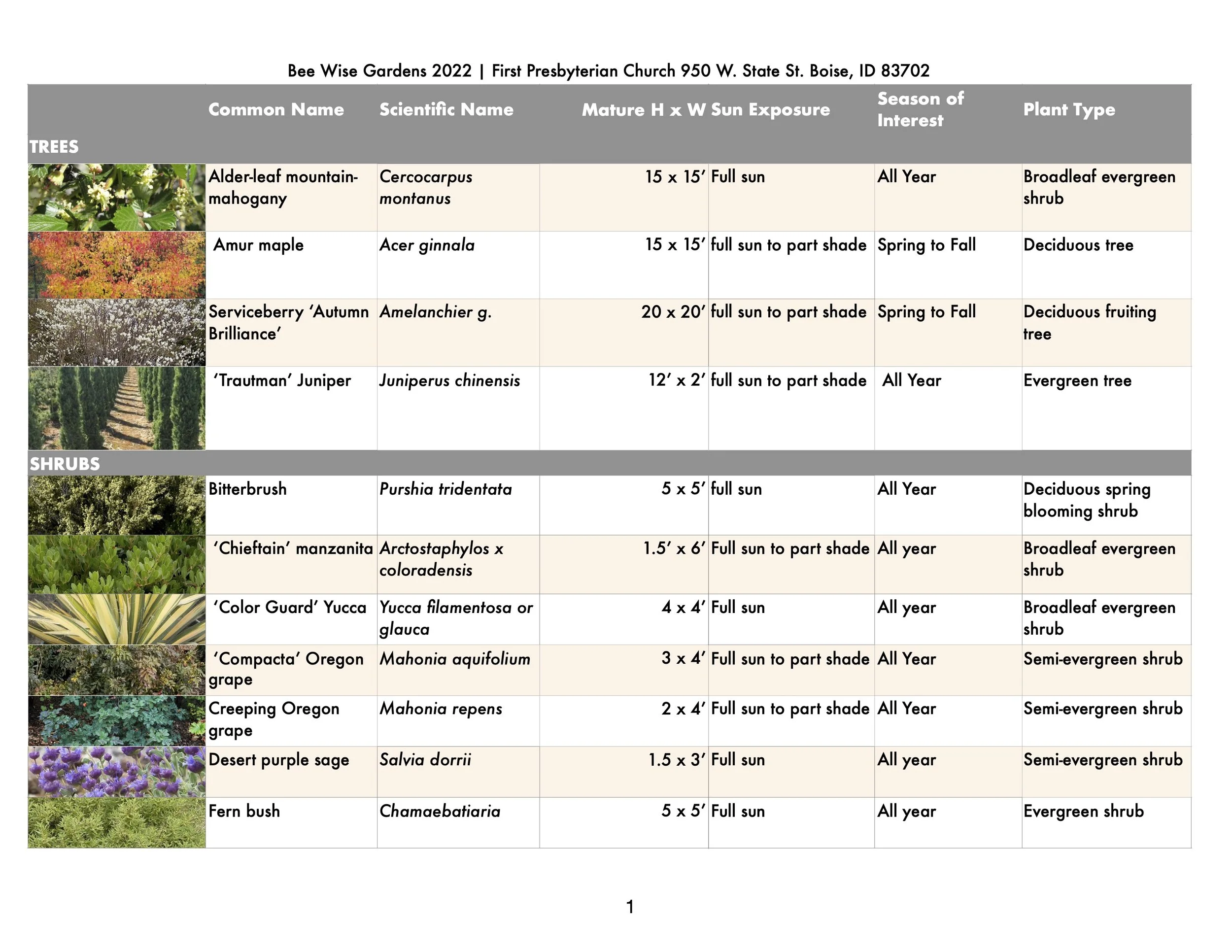 pg1Plant Lists 2022.numbers-FPCHURCH'22.jpg