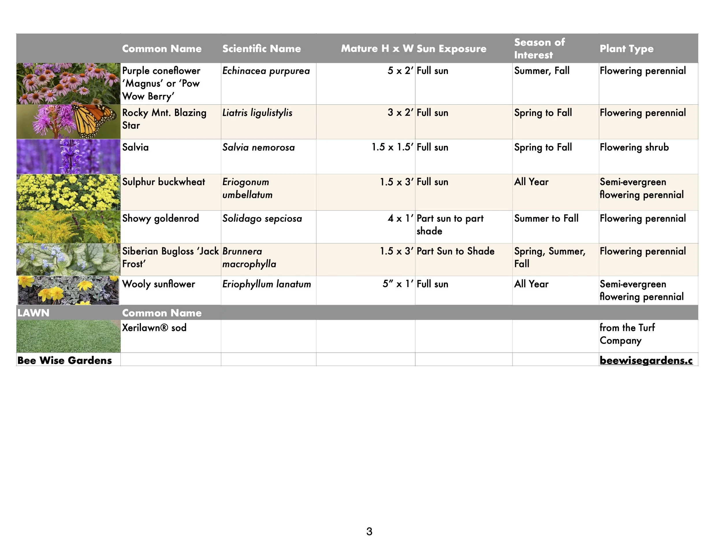 pg3Plant Lists 2022.numbers-FPCHURCH'22.jpg