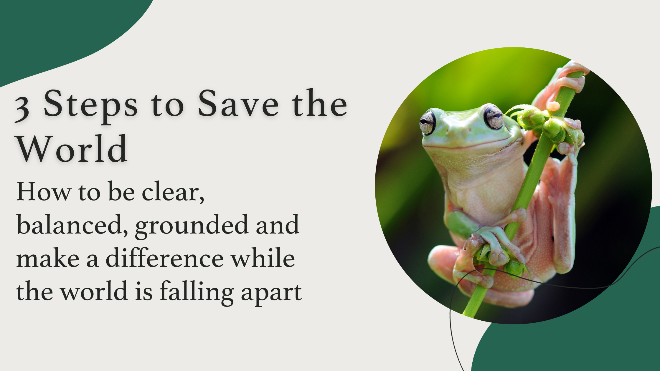 Three Steps to Save the World: How to be clear, balanced, grounded and make a difference while the world is falling apart