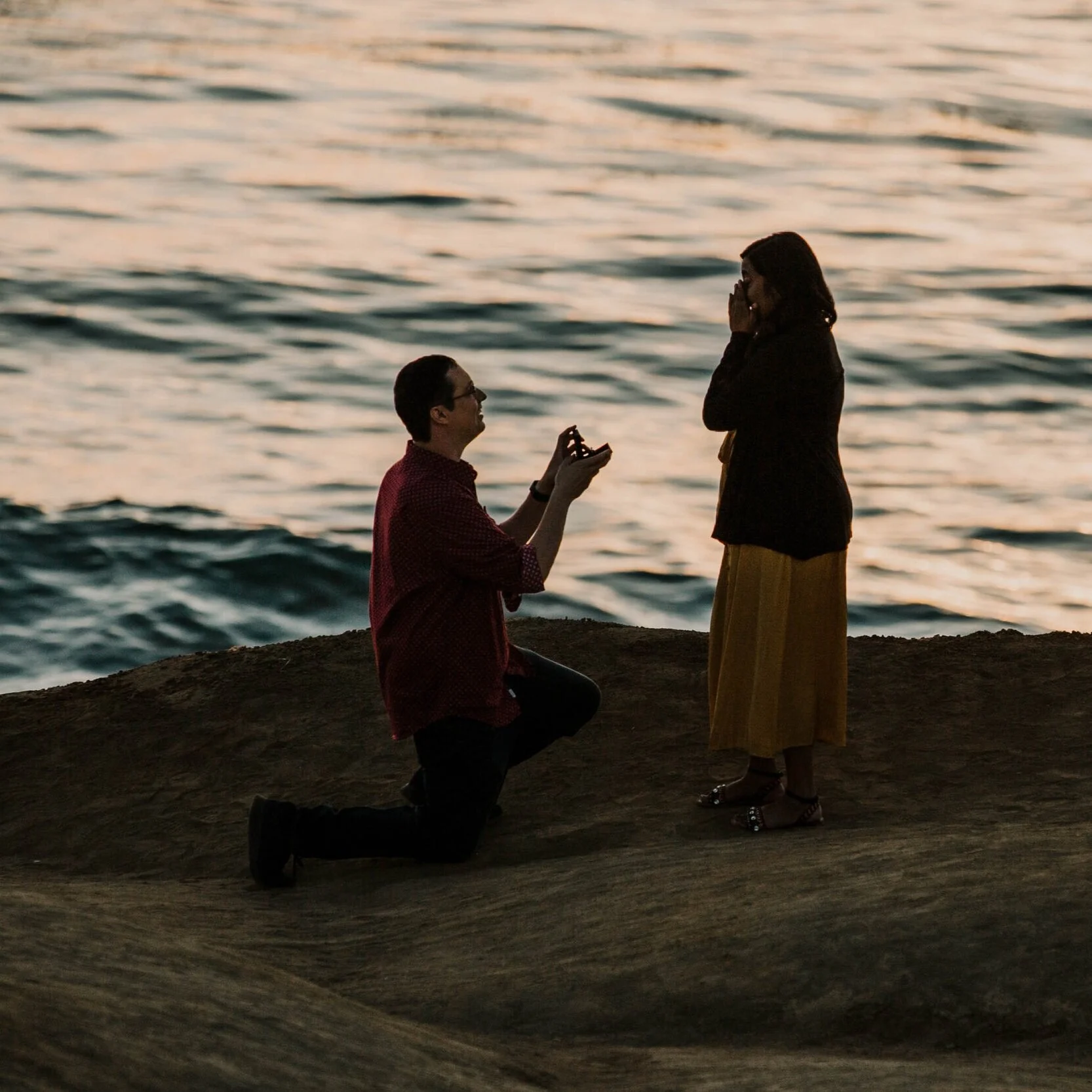 Priya + Jason // Proposal at Sunset Cliffs // San Diego, California