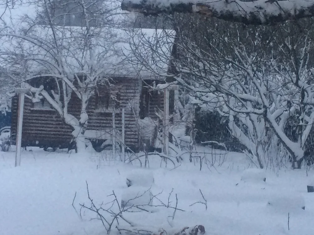 Tiny home in the snow