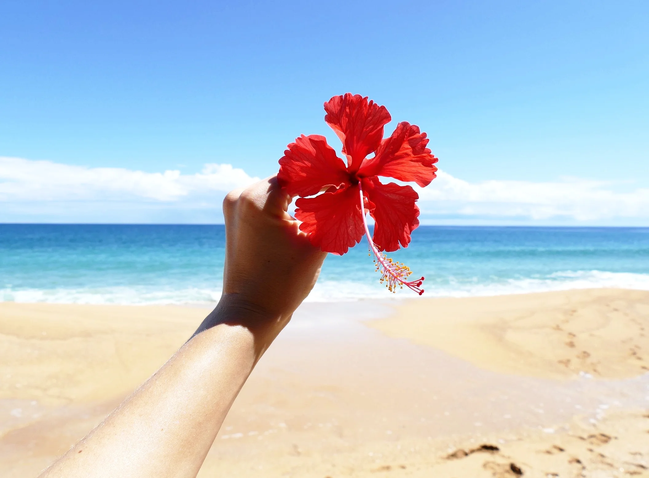 Hibiscus Love - Playa Bluff, Bocas del Toro