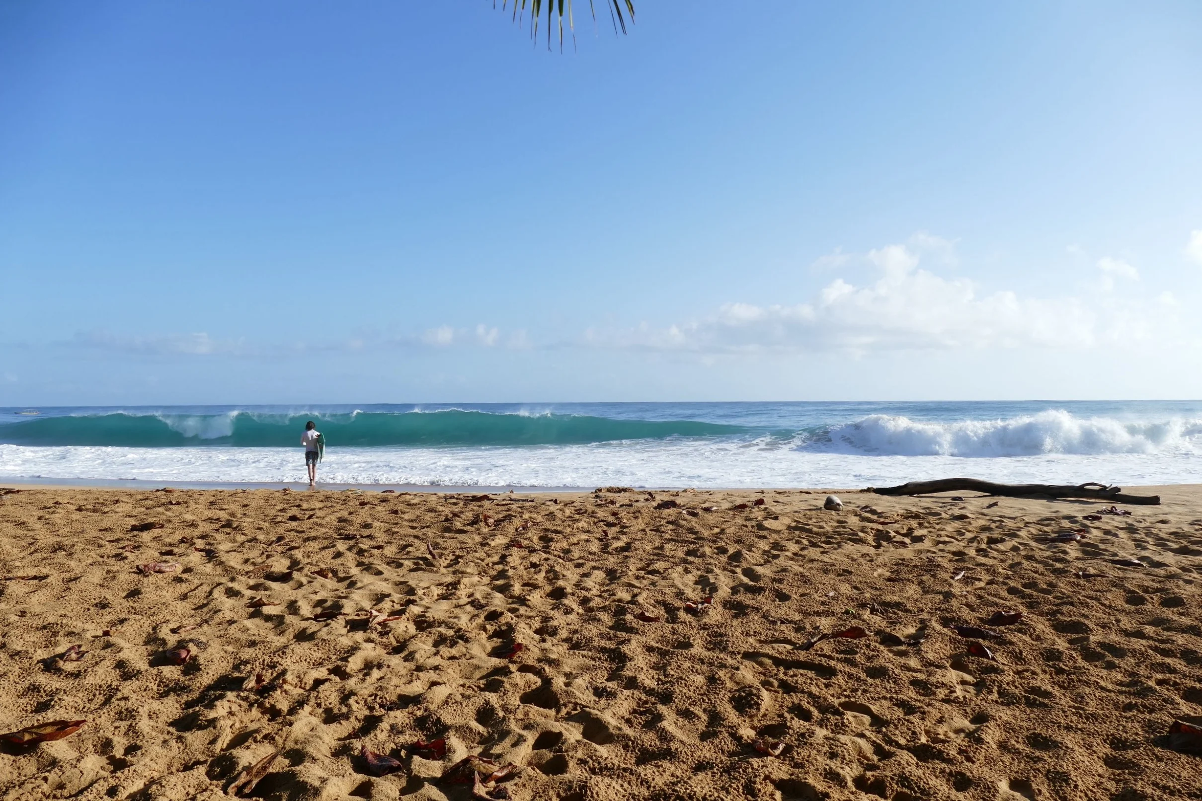 Morning at Playa Bluff, Bocas del Toro