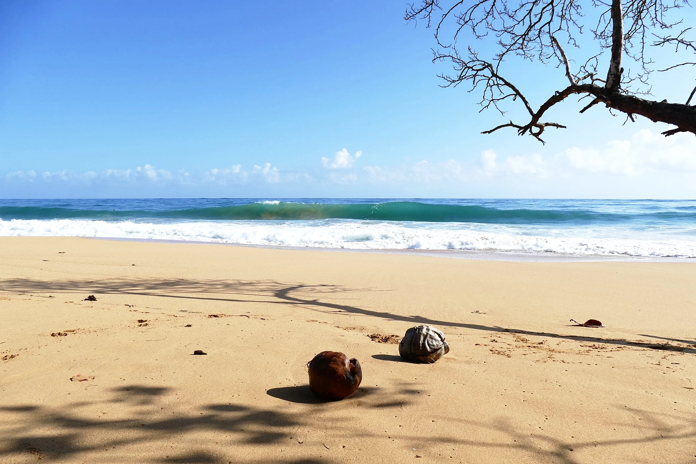 Playa Bluff, Isla Colon, Bocas del Toro