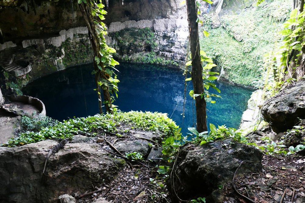 cenote zaci mexico (74).JPG