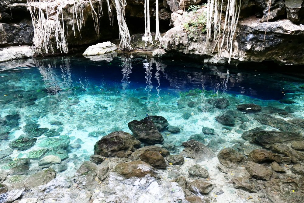 Cenote Xbatun Mexico (23).JPG