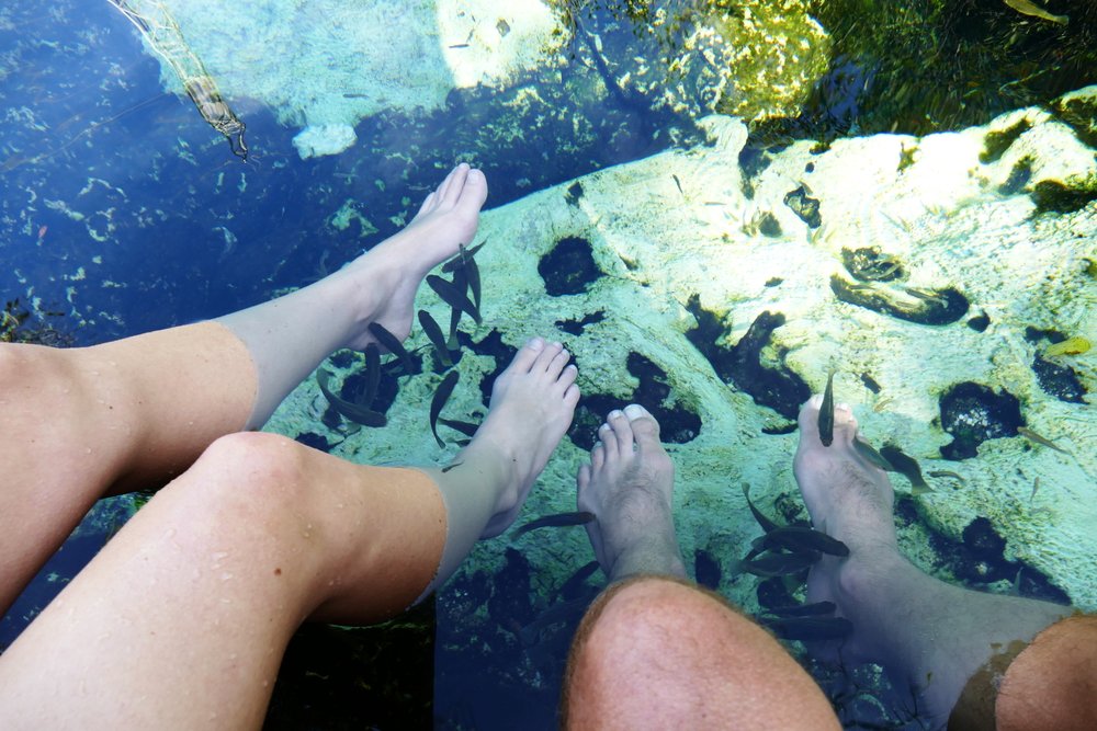 Cenote Azul - Quintana Roo