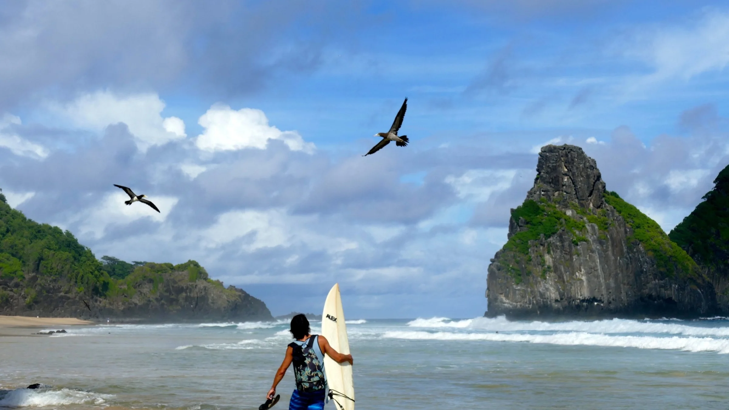 Fernando de Noronha - Brazil Mars 2016 (331).jpg