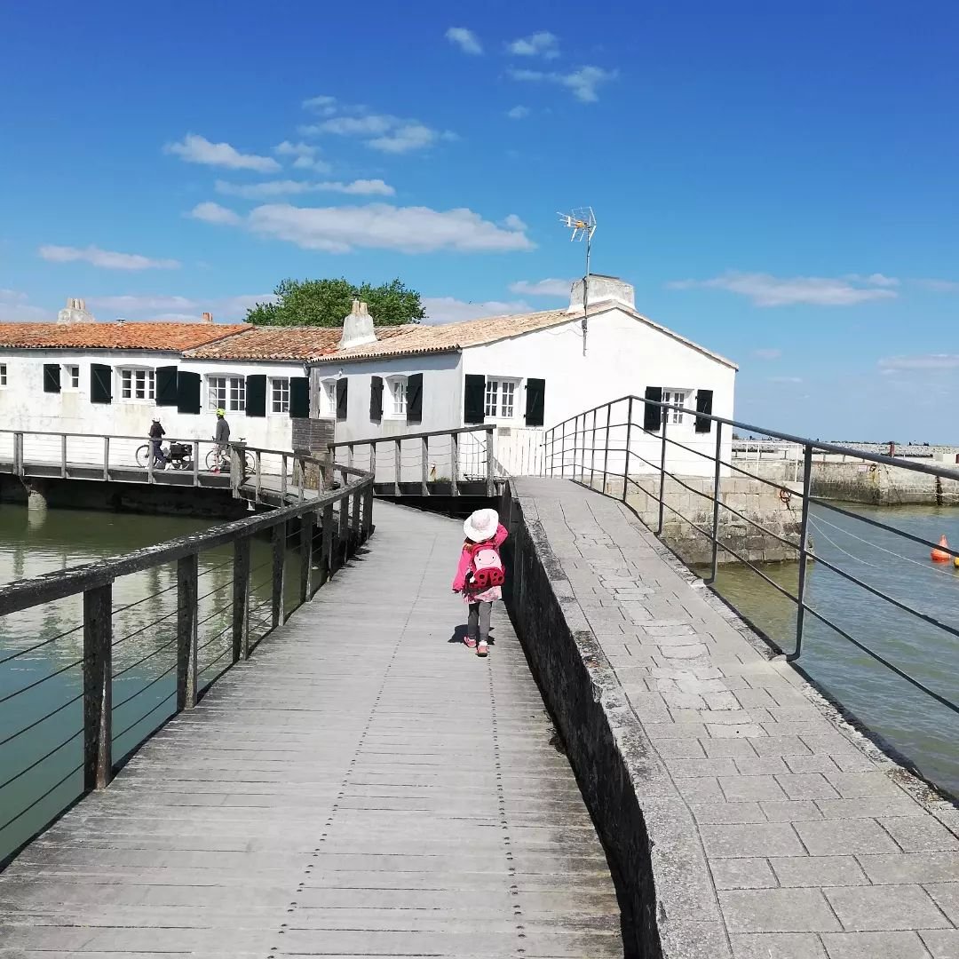 Un petit bout d'Ile de R&eacute; en avril 🌞🌾🌼 #Loix
Oui, la chaleur n'est pas au rdv mais &ccedil;a n'enl&egrave;ve rien &agrave; la beaut&eacute; des lieux... 🙏

PS : il y a des combis chez @papaiipaddle si vous voulez d&eacute;couvrir les marai