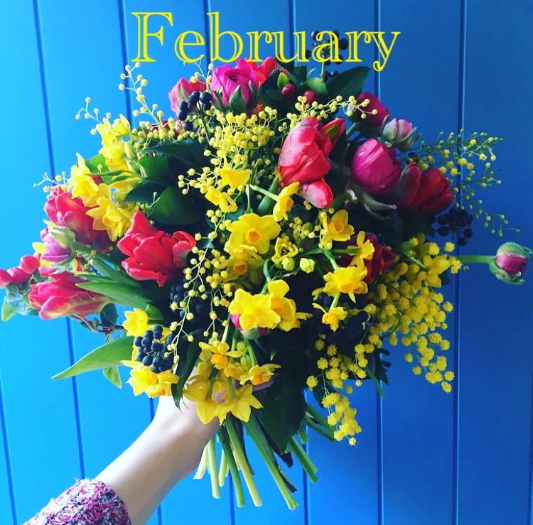 La La Land and the power of frivolity, Flowers By Daisy newsletter, February 2017.