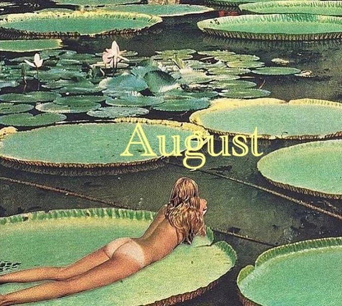 A Floral Guide to your Summer Holiday, Flowers By Daisy newsletter, August 2017