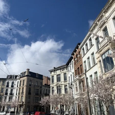 A Weekend Away in Antwerp, A Little Bird , May 2019