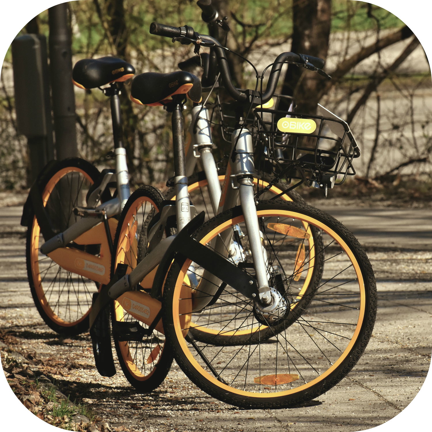 city bikes rounded_corners.png