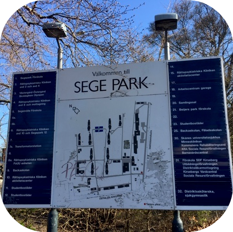 study visit 5 sege park_rounded_corners.png