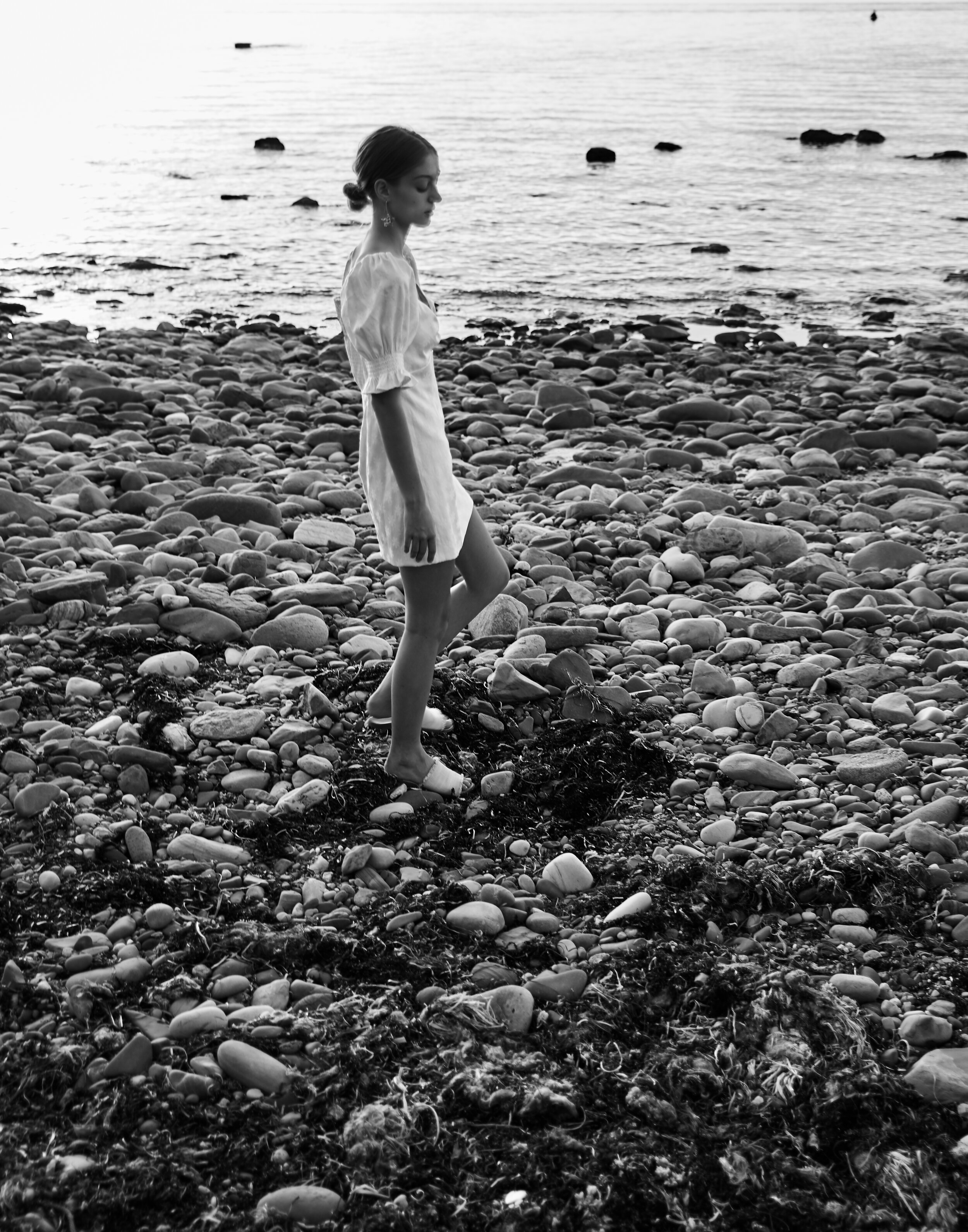 Adam Stanley - azalea26.jpg