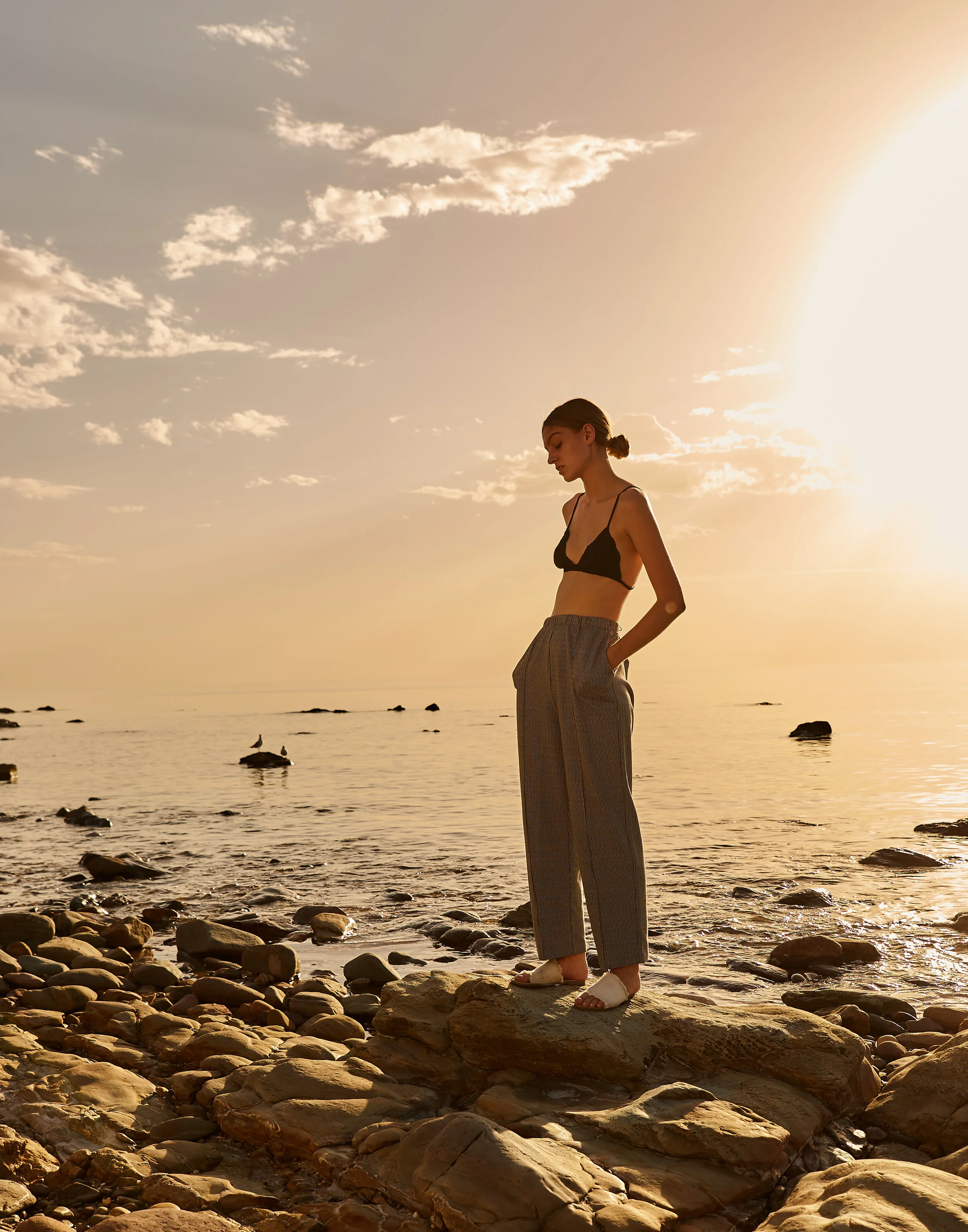 Adam Stanley - azalea17.jpg