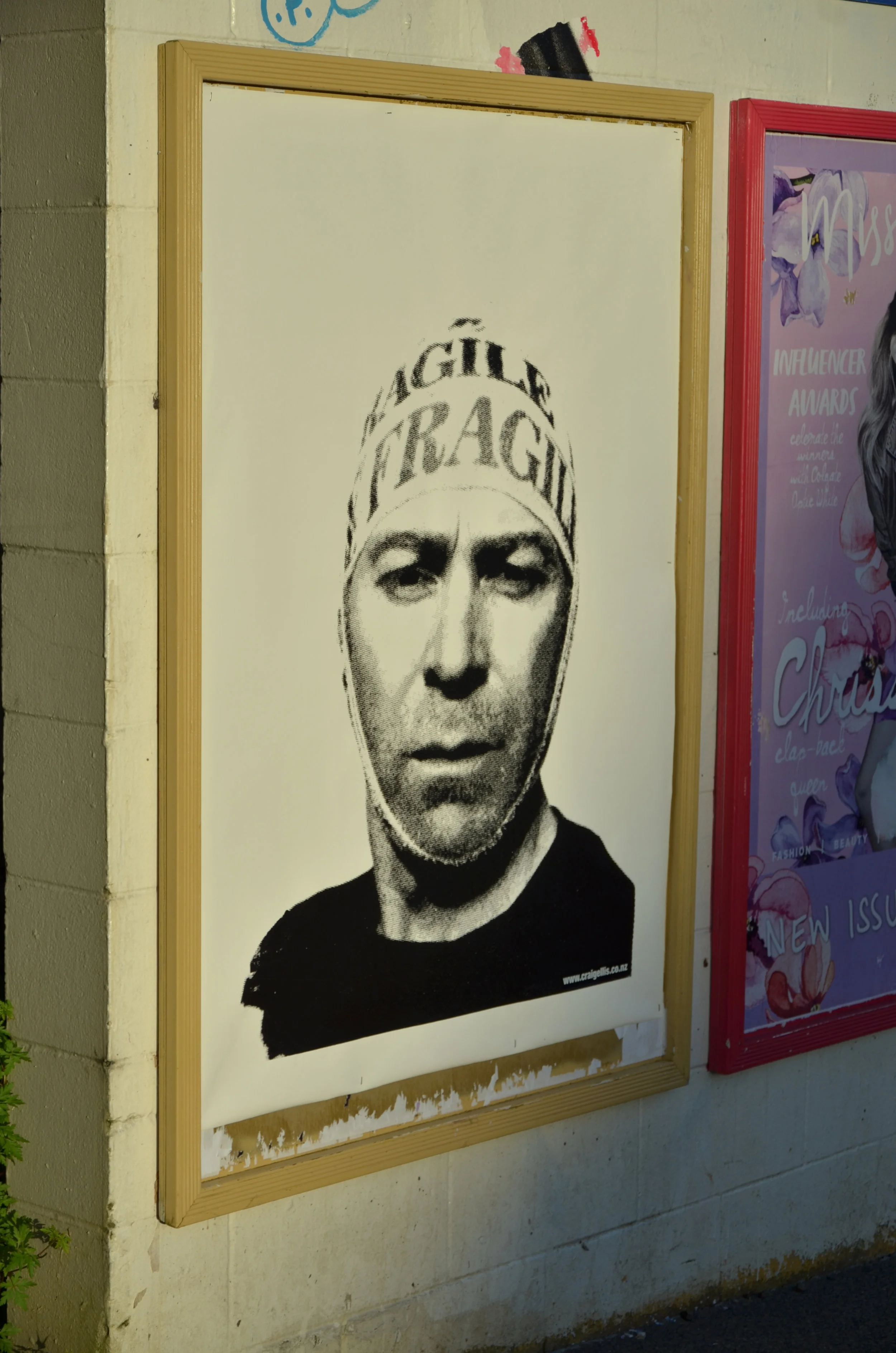 Fragile (White 2017)