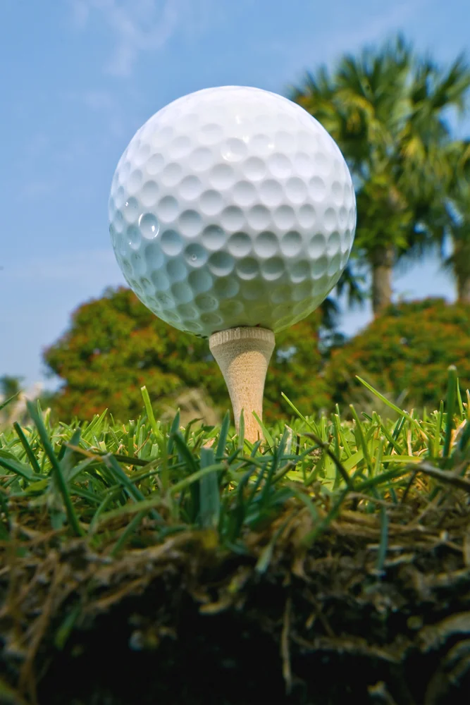golfball on tee.jpg