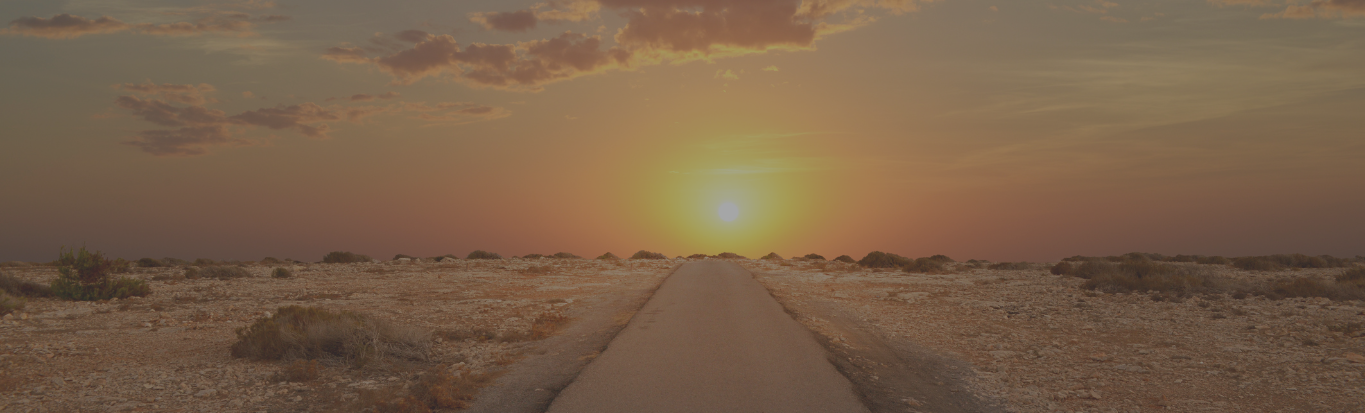 Website Banner (5).png