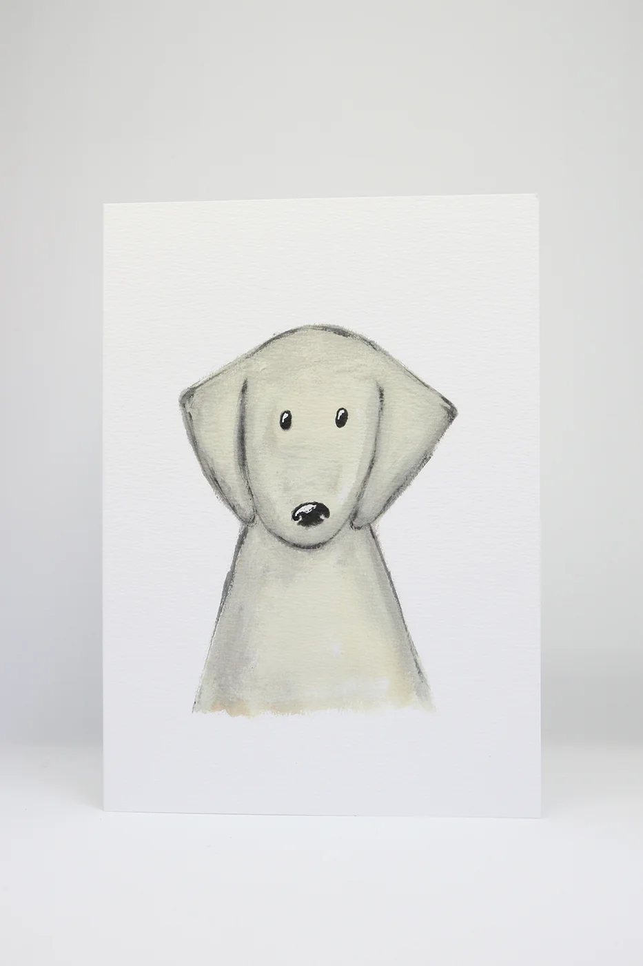 Labrador White Background.jpg
