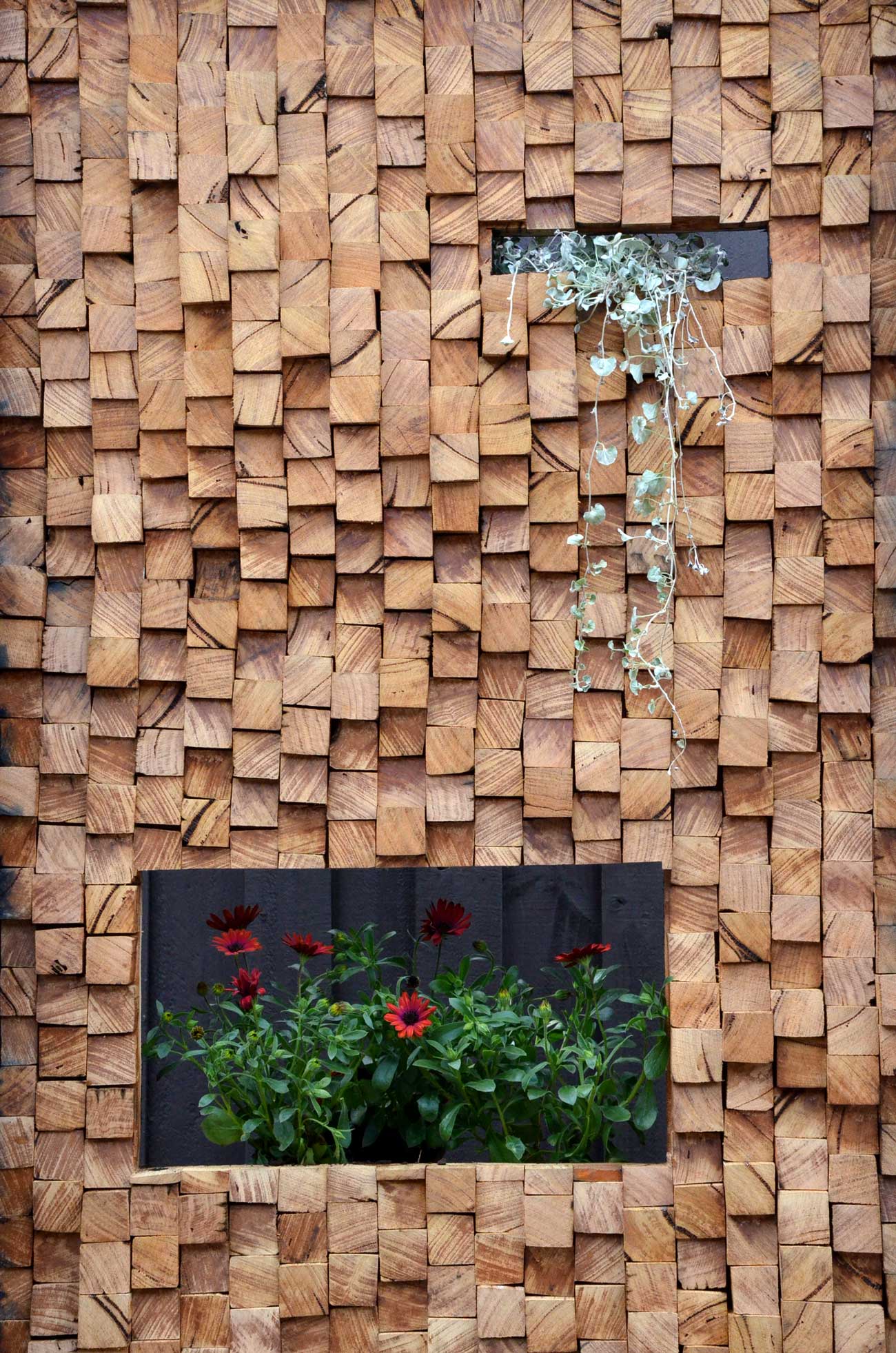 Timber feature wall in the garden