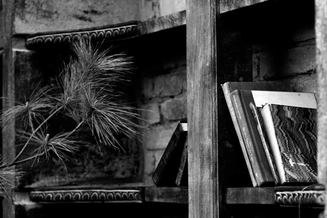 bookshelf.jpg