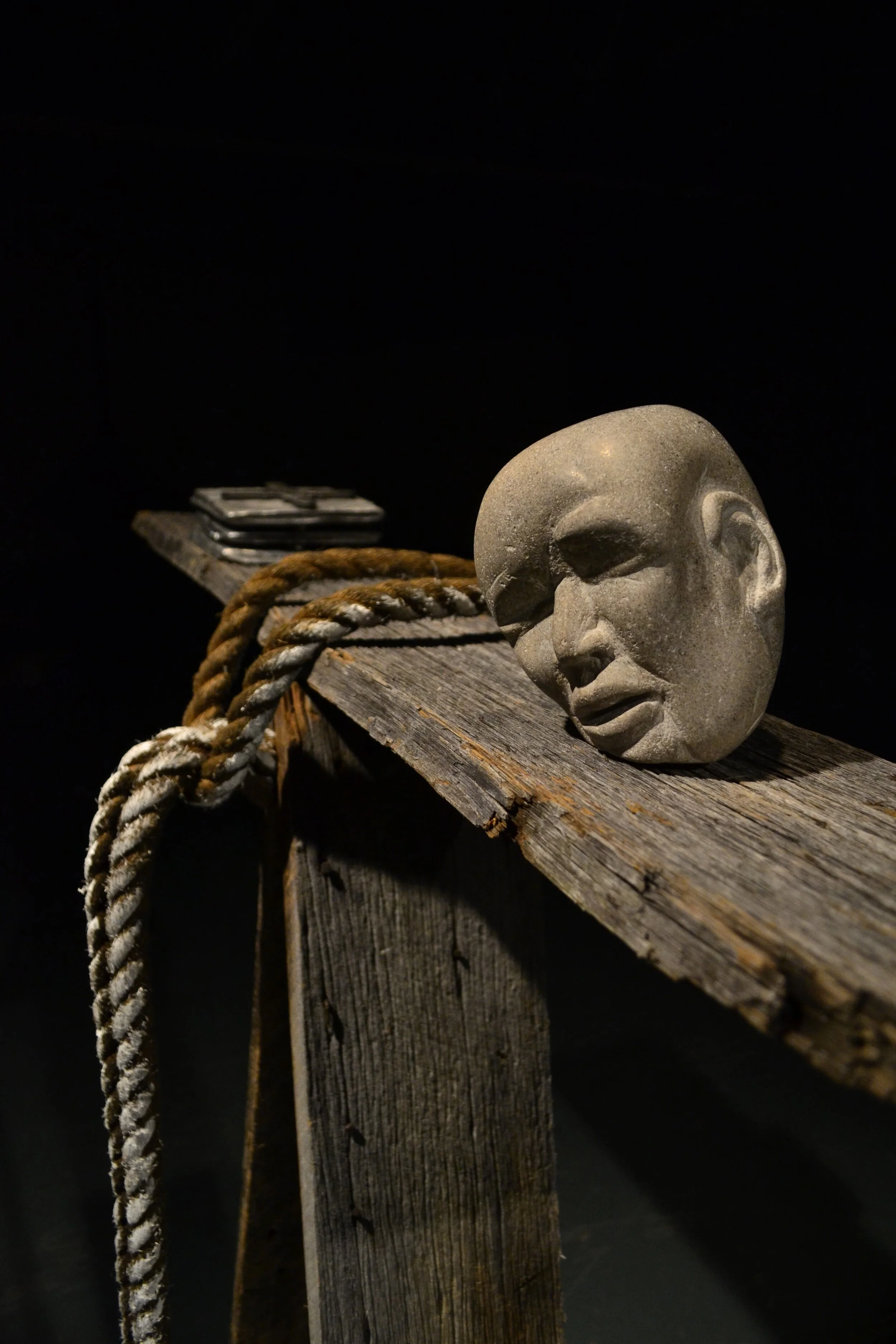 Williams_Whatdoyouwantmetodo detail.JPG