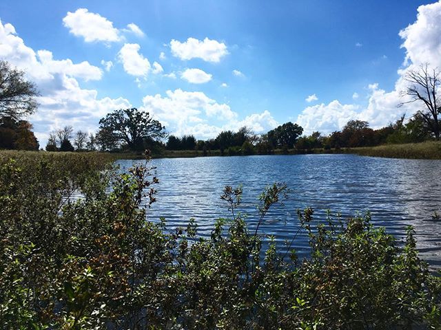 &ldquo;Happy place&rdquo; at the water &bull; There&rsquo;s a old tree that has an opening facing this pond. Inside, inhabits the tiniest, most productive workers at the ranch. 🐝 🐝 🐝 Many bee colonies are being threatened by harmful sprays, which 