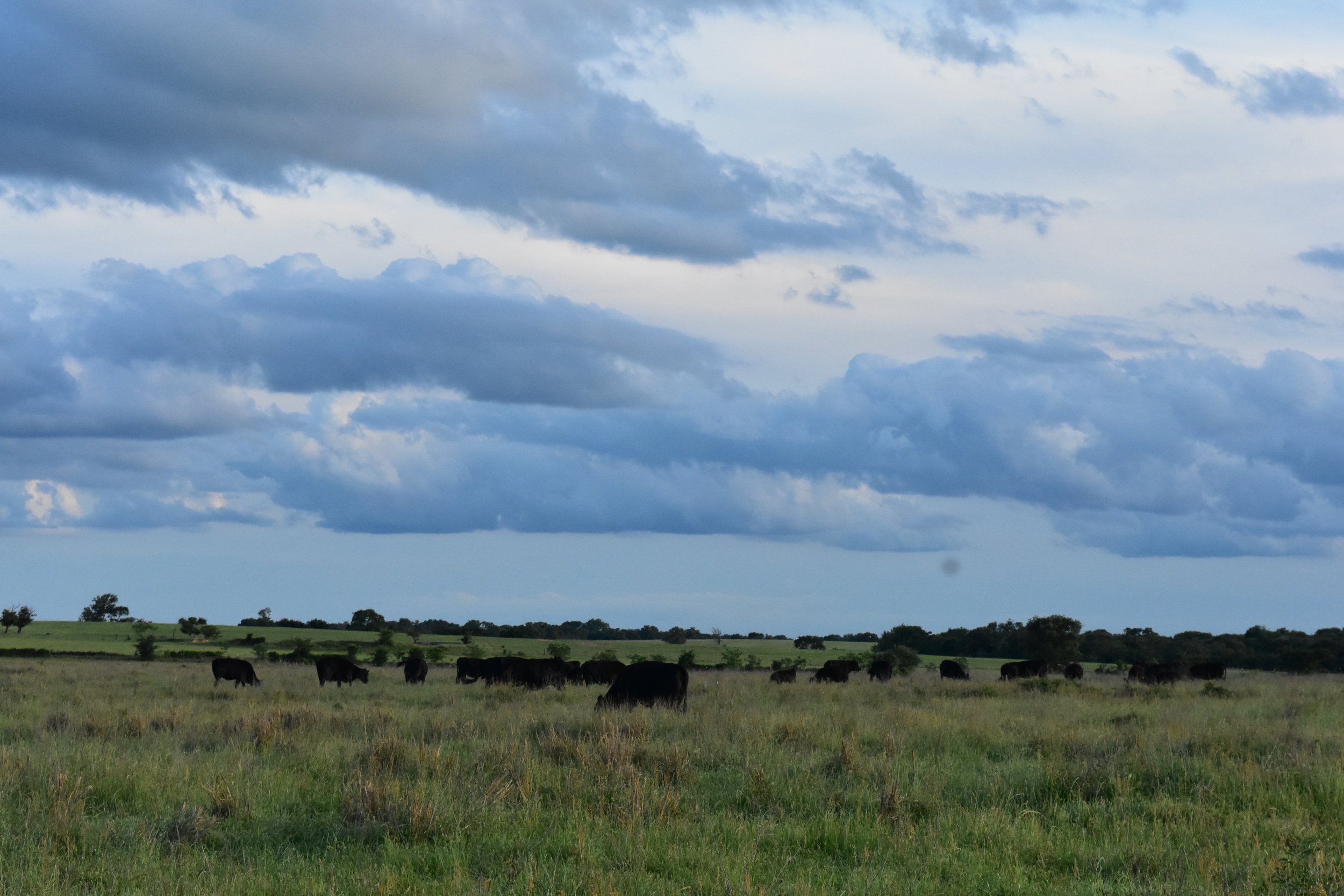 DSC_0880.JPG