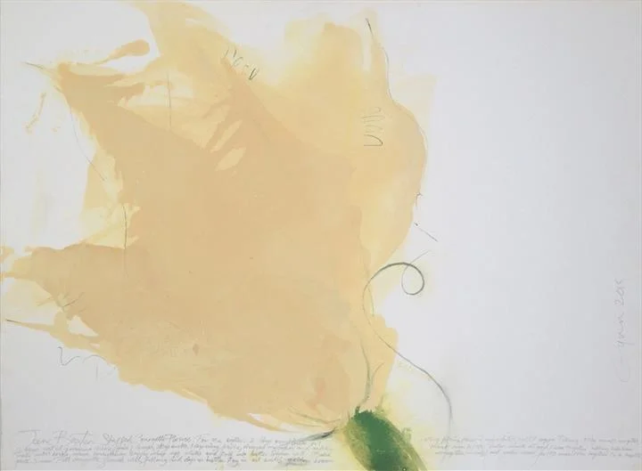 Jane Baxter's Courgette Flowers.jpg