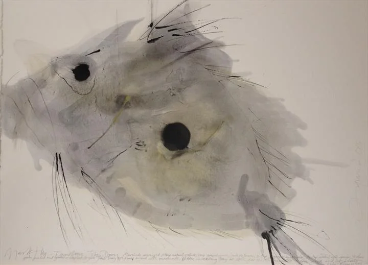 Mark Hix Tandoori John Dory.jpg